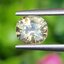 พลอย บุษราคัม yellow sapphire 1.46 กะรัต (Cts.) ดิบ (Unheated) พร้อมใบเซอร์ พลอยแท้ อัญมณีมงคลประจําวันเกิด เครื่องประดับพลอย