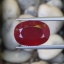 พลอย ทับทิม Ruby sapphire 12.50 กะรัต (Cts.) พลอยแท้ อัญมณีมงคลประจําวันเกิด เครื่องประดับพลอย