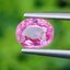 พลอย ชมพู พิ้ง แซฟไฟร์ Pink Sapphire 1.27 กะรัต (Cts.) พลอยแท้ อัญมณีมงคลประจําวันเกิด เครื่องประดับพลอย