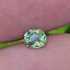 พลอย ดีแมนทรอยด์ การ์เน็ต Demantoid Garnet 0.56 Cts. ดิบ Unheated พลอยแท้ อัญมณีมงคลประจําวันเกิด เครื่องประดับพลอย