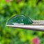 หยกพม่าเจียรนัย (Burmese jade ) 6.38 กะรัต หยกแท้ อัญมณีมงคลประจําวันเกิด เครื่องประดับหยก