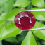 พลอย ทับทิม Ruby sapphire 20.25 กะรัต (Cts.) พลอยแท้ อัญมณีมงคลประจําวันเกิด เครื่องประดับพลอย