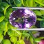พลอย อเมทิส Amethyst 17.25 กะรัต (Cts.)