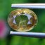 พลอย บุษราคัม Yellow Sapphire 1.38 กะรัต (Cts.) ดิบ Unheated พลอยแท้ อัญมณีมงคลประจําวันเกิด เครื่องประดับพลอย