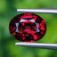พลอย โรโดไลต์ กาเน็ท Rhodolite Garnet 2.64 กะรัต Cts.พลอยแท้ อัญมณีมงคลประจําวันเกิด เครื่องประดับพลอย