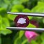 พลอย ทับทิม Ruby Sapphire 1.32 กะรัต (Cts) พลอยแท้ อัญมณีมงคลประจําวันเกิด เครื่องประดับพลอย