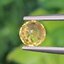 พลอย บุษราคัม Yellow Sapphire 0.76 กะรัต (Cts.) พลอยแท้ อัญมณีมงคลประจําวันเกิด เครื่องประดับพลอย