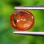พลอย บุษราคัม Yellow Sapphire 1.19 กะรัต (Cts.) พลอยแท้ อัญมณีมงคลประจําวันเกิด เครื่องประดับพลอย