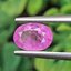 พลอย ชมพู พิ้ง แซฟไฟร์ Pink Sapphire 0.85 กะรัต (Cts.) พลอยแท้ อัญมณีมงคลประจําวันเกิด เครื่องประดับพลอย