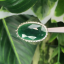 หยก พม่า แท้ Jade แหวนหยก 翡翠戒指 (Jadeite ring) ดิบ (Size) 58 ไม่ผ่านการปรับปรุง (Type A) พม่า (Myanmar)