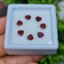 พลอย โกเมน Garnet 7 เม็ด (pcs.) 3.54 กะรัต (Cts.) พลอยแท้ อัญมณีมงคลประจําวันเกิด เครื่องประดับพลอย