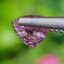 พลอย สปิเนล (Spinel) 1.74 กะรัต (Cts.) ดิบ (Unheated) พลอยแท้ อัญมณีมงคลประจําวันเกิด เครื่องประดับพลอย