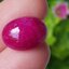 พลอย ทับทิม (Ruby Sapphire) 11.35 กะรัต (Cts.) พลอยแท้ อัญมณีมงคลประจําวันเกิด เครื่องประดับพลอย