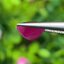 พลอย ทับทิม พม่า (Burmese Ruby Sapphire) 2.25 กะรัต พลอยแท้ อัญมณีมงคลประจําวันเกิด เครื่องประดับพลอย