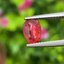 พลอย ทับทิม สยาม (Siam Ruby Sapphire) 1.42 กะรัต (Cts.) พร้อมใบเซอร์ พลอยแท้ อัญมณีมงคลประจําวันเกิด เครื่องประดับพลอย