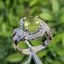 แหวน พลอย เพอริดอต Peridot (Size) 57