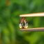 พลอย อเล็กซานไดร์ (Natural Alexandrite Chrysoberyl) 0.43 กะรัต (Cts.) ดิบ (Unheated) พร้อมใบเซอร์ พลอยแท้ อัญมณีมงคลประจําวันเกิด เครื่องประดับพลอย