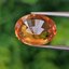 พลอย บุษราคัม yellow sapphire 6.81 กะรัต (Cts.) พลอยแท้ อัญมณีมงคลประจําวันเกิด เครื่องประดับพลอย