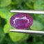 พลอย ทับทิม สยาม (Siam Ruby Sapphire) 1.97 กะรัต (Cts.) พร้อมใบเซอร์ พลอยแท้ อัญมณีมงคลประจําวันเกิด เครื่องประดับพลอย