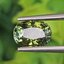 พลอย ทัวร์มาลีน Tourmaline 2.38 กะรัต (Cts.) พลอยแท้อัญมณีมงคล ประจําวันเกิด เครื่องประดับพลอย