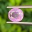 พลอย ชมพู พิ้ง แซฟไฟร์ Pink Sapphire 1.47 กะรัต (Cts.) พลอยแท้ อัญมณีมงคลประจําวันเกิด เครื่องประดับพลอย