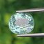 พลอยทัวร์มารีน (Tourmaline) 3.69 กะรัต (Cts.) พร้อมใบเซอร์ อัญมณีมงคลประจําวันเกิด เครื่องประดับพลอย