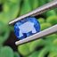 พลอย ไพลิน (Blue Sapphire) 1.04 กะรัต (Cts.) พลอยแท้ อัญมณีมงคลประจําวันเกิด เครื่องประดับพลอย