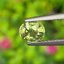 พลอย บุษราคัม (yellow sapphire) 1.25 กะรัต (Cts.) ดิบ (Unheated) พลอยแท้ อัญมณีมงคลประจําวันเกิด เครื่องประดับพลอย