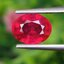 พลอย ทับทิม Ruby sapphire 2.69 กะรัต (Cts.) พลอยแท้ อัญมณีมงคลประจําวันเกิด เครื่องประดับพลอย
