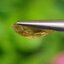 พลอย บุษราคัม yellow sapphire 1.21 กะรัต (Cts.) พลอยแท้ อัญมณีมงคลประจําวันเกิด เครื่องประดับพลอย