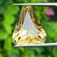 พลอย ซิทริน Citrine 10.96 กะรัต (Cts.) พลอยแท้ อัญมณีมงคลประจําวันเกิด เครื่องประดับพลอย