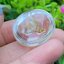 โป่งข่าม ควอตซ์ Rutilated Quartz 59.52 กะรัต Cts. พลอยแท้ อัญมณีมงคลประจําวันเกิด เครื่องประดับพลอย