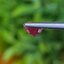 พลอย ทับทิม (Ruby Sapphire) 2.03 กะรัต (Cts.) พลอยแท้ อัญมณีมงคลประจําวันเกิด เครื่องประดับพลอย