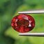 พลอย สเปสซาร์ไทต์ Spessartite Garnet 1.44 กะรัต Cts.พลอยแท้ อัญมณีมงคลประจําวันเกิด เครื่องประดับพลอย