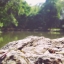 บ้านป่าริมธารใกล้เมืองกาญจนบุรี