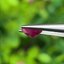 พลอย ทับทิม พม่า (Burmese Ruby Sapphire) 1.33 กะรัต พลอยแท้ อัญมณีมงคลประจําวันเกิด เครื่องประดับพลอย