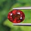 พลอย สเปสซาร์ไทต์ Spessartite Garnet 1.44 กะรัต Cts.พลอยแท้ อัญมณีมงคลประจําวันเกิด เครื่องประดับพลอย