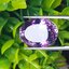 พลอย อเมทิส Amethyst 17.25 กะรัต (Cts.)