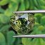พลอย เขียวส่อง Green Sapphire 5.05 กะรัต (Cts.) พลอยแท้ อัญมณีมงคลประจําวันเกิด เครื่องประดับพลอย