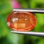 พลอย บุษราคัม Yellow Sapphire 3.11 กะรัต (Cts.) พลอยแท้ อัญมณีมงคลประจําวันเกิด เครื่องประดับพลอย
