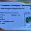 พลอย อเล็กซานไดร์ (Natural Alexandrite Chrysoberyl) เจ้าสามสี 0.46 กะรัต (Cts.) พร้อมใบเซอร์ พลอยแท้ อัญมณีมงคลประจําวันเกิด เครื่องประดับพลอย