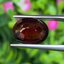 พลอย โกเมน Pyrope - Almandite Garnet 5.65 กะรัต (Cts.) พลอยแท้ อัญมณีมงคลประจําวันเกิด เครื่องประดับพลอย