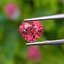 พลอย ซองเจีย ชมพูอมส้ม (Orangish Pink Sapphire) 1.02 กะรัต (Cts.) พลอยแท้ อัญมณีมงคลประจําวันเกิด เครื่องประดับพลอย