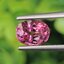 พลอย ทัวร์มารีน (Tourmaline) 1.63 กะรัต (Cts.) อัญมณีมงคลประจําวันเกิด เครื่องประดับพลอย