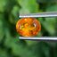 พลอย บุษราคัม Yellow Sapphire 1.00 กะรัต (Cts.) พลอยแท้ อัญมณีมงคลประจําวันเกิด เครื่องประดับพลอย