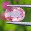 พลอย พัดพารัดชา Padparadscha Sapphire 1.14 กะรัต (Cts.) พร้อมใบเซอร์ พลอยแท้ อัญมณีมงคลประจําวันเกิด เครื่องประดับพลอย