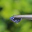 พลอย ไพลิน blue sapphire 0.83 กะรัต (Cts.) ดิบ unheated พลอยแท้ อัญมณีมงคลประจําวันเกิด เครื่องประดับพลอย