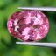 พลอย สปิเนล (Spinel) 4.79 กะรัต (Cts.) ดิบ (Unheated) พร้อมใบเซอร์ พลอยแท้ อัญมณีมงคลประจําวันเกิด เครื่องประดับพลอย