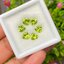 พลอย เพอริดอต Peridot 5.32 กะรัต (Cts.) 6 เม็ด (pcs.) พลอยแท้ อัญมณีมงคลประจําวันเกิด เครื่องประดับพลอย