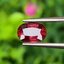 พลอย ทับทิม (Ruby Sapphire) 1.25 กะรัต (Cts.) พลอยแท้ อัญมณีมงคลประจําวันเกิด เครื่องประดับพลอย